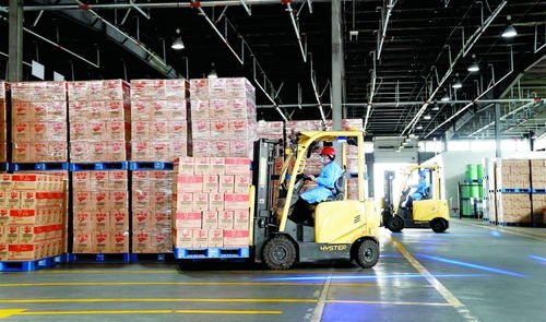 上海666家重點(diǎn)企業(yè)復(fù)工復(fù)產(chǎn)穩(wěn)步推進(jìn)，運(yùn)輸能力逐步恢復(fù)